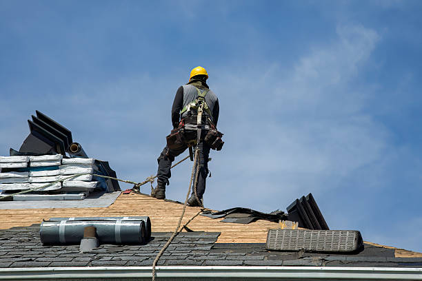 Professional Storm Damage Roof Repair technician working in Urbana, MD
